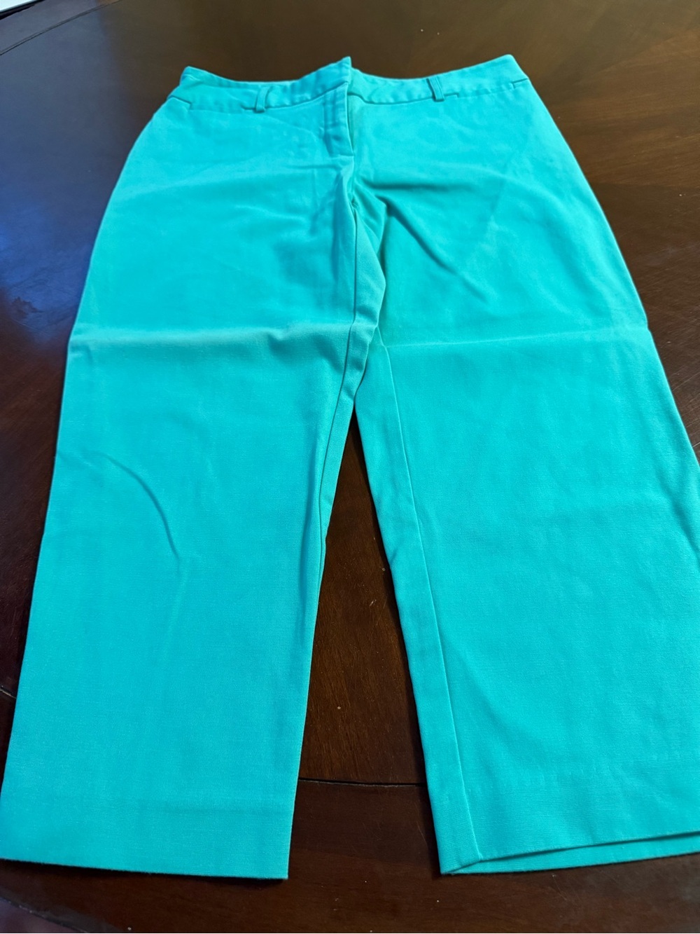 Rafaella womens Teal Wide-Leg Pants